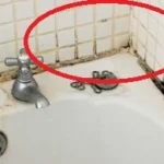 So können Sie schwarzen Schimmel in Silikonfugen im Badezimmer in wenigen Minuten wirksam entfernen